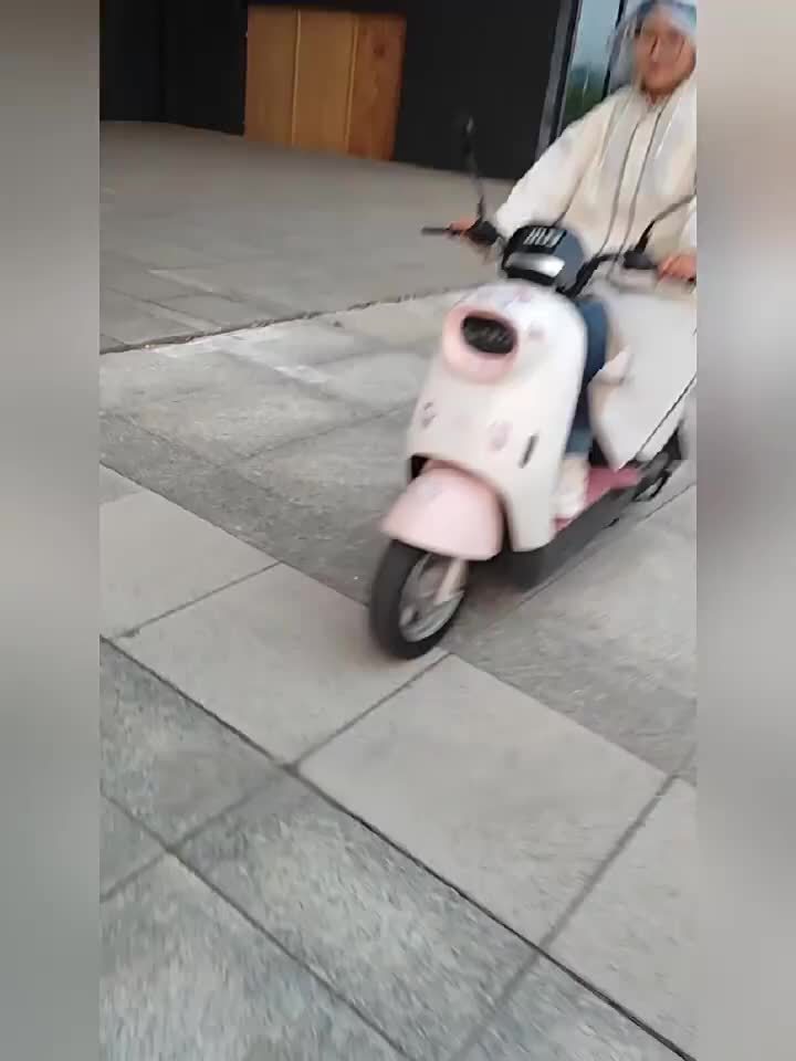 BM Dames Lange Zware Winddichte Regenjas - Oversized Capuchon Motorfiets/Rijjack met Grote Rits aan de Voorkant, Water- en winddicht, Compatibel voor Motorrijden (Groen) Geschikt om te Fietsen, Wandelen of Pendelen in De Regen